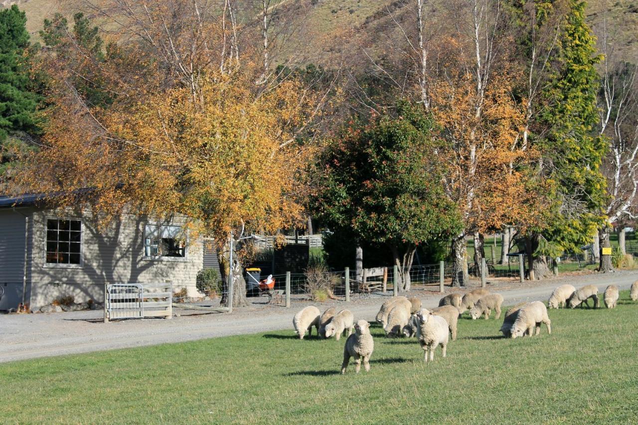 Bauchops Hill Station Farmstay Burkes Pass Exterior foto