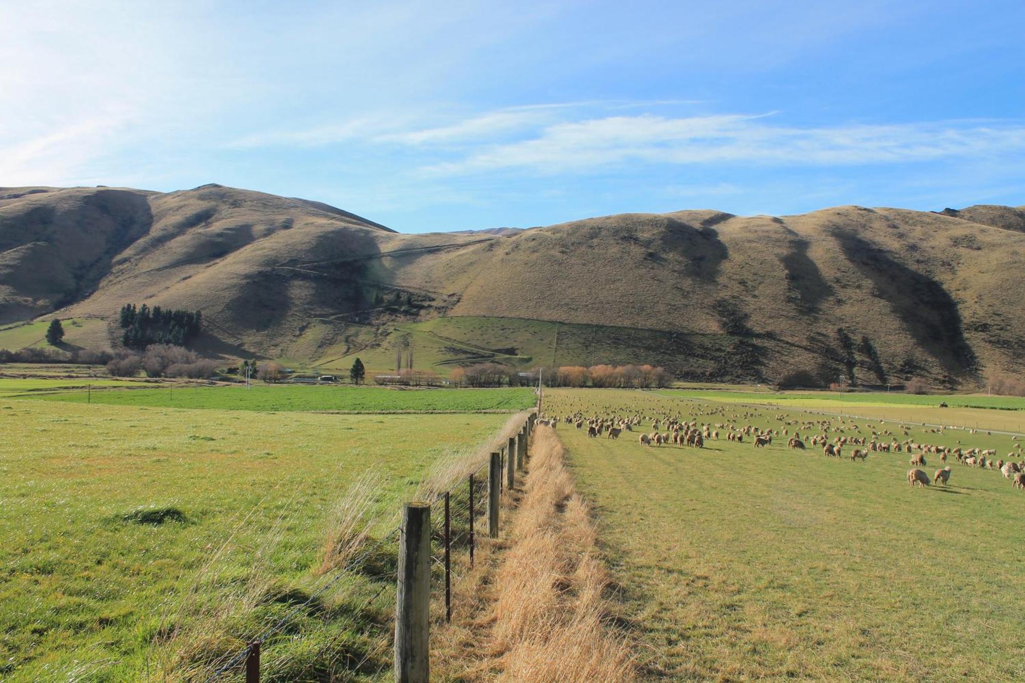 Bauchops Hill Station Farmstay Burkes Pass Exterior foto