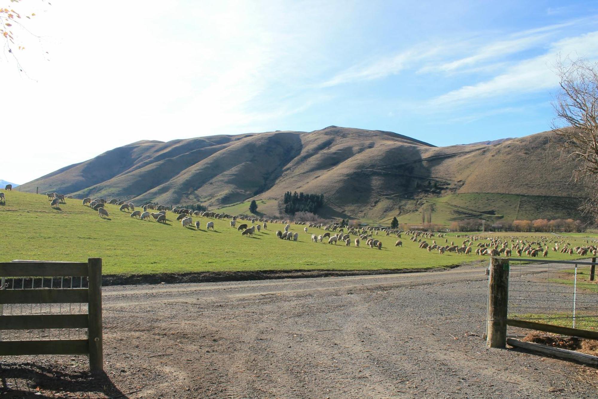 Bauchops Hill Station Farmstay Burkes Pass Exterior foto